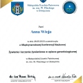 Powiększ obraz: certificate 3