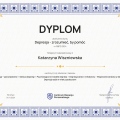 Powiększ obraz: certificate 7