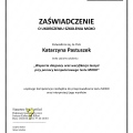Powiększ obraz: certificate 11