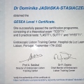 Powiększ obraz: certificate 2