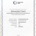 Powiększ obraz: certificate 5
