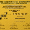 Powiększ obraz: certificate 6
