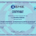 Powiększ obraz: certificate 9