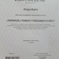 Powiększ obraz: certificate 7