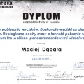 Powiększ obraz: certificate 29