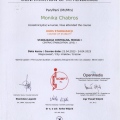 Powiększ obraz: certificate 5
