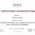 Powiększ obraz: certificate 47