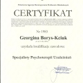 Powiększ obraz: certificate 2