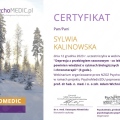 Powiększ obraz: certificate 9