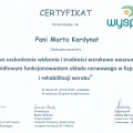Powiększ obraz: certificate 7