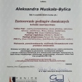Powiększ obraz: certificate 65