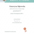 Powiększ obraz: certificate 10