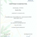 Powiększ obraz: certificate 1