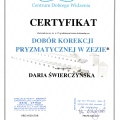 Powiększ obraz: certificate 2