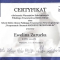 Powiększ obraz: certificate 2