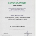 Powiększ obraz: certificate 50