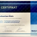 Powiększ obraz: certificate 11