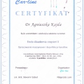 Powiększ obraz: certificate 5