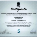 Powiększ obraz: certificate 11