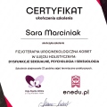 Powiększ obraz: certificate 12