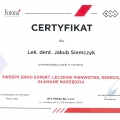 Powiększ obraz: certificate 2