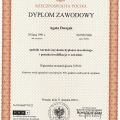 Powiększ obraz: certificate 2