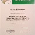 Powiększ obraz: certificate 5