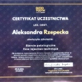 Powiększ obraz: certificate 7