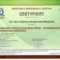 Powiększ obraz: certificate 16