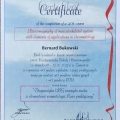 Powiększ obraz: certificate 8