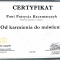 Powiększ obraz: certificate 4