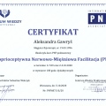 Powiększ obraz: certificate 2