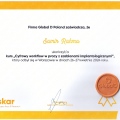 Powiększ obraz: certificate 29