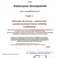 Powiększ obraz: certificate 13
