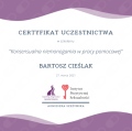 Powiększ obraz: certificate 2