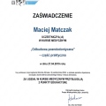 Powiększ obraz: certificate 5