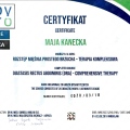 Powiększ obraz: certificate 2