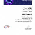 Powiększ obraz: certificate 6