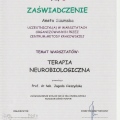 Powiększ obraz: certificate 53