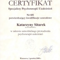 Powiększ obraz: certificate 2