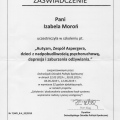 Powiększ obraz: certificate 4