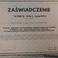 Powiększ obraz: certificate 7