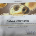 Powiększ obraz: certificate 2