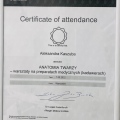 Powiększ obraz: certificate 6