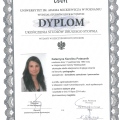 Powiększ obraz: certificate 1