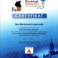 Powiększ obraz: certificate 9