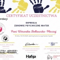 Powiększ obraz: certificate 16
