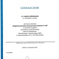 Powiększ obraz: certificate 14
