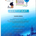 Powiększ obraz: certificate 4