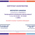 Powiększ obraz: certificate 1